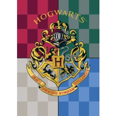 Harry Potter polár takaró 100*140cm Hogwarts