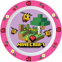 Minecraft micro lapostányér