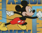 Kétrészes nyári kisfiú szett Mickey egér mintával