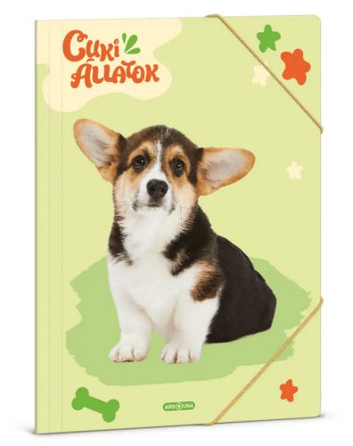 Cuki állatok gumis mappa A/4, welsh corgi