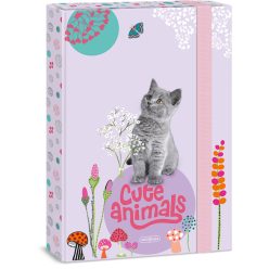 Cuki állatok füzetbox A/4, kitten, cicás