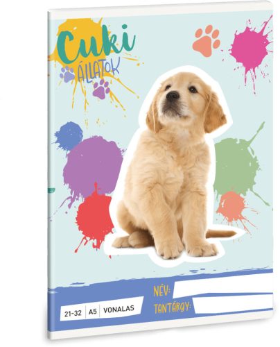Cuki állatok tűzött füzet A/5, 32 lap vonalas (21-32), kutya, golden retriever, 2025