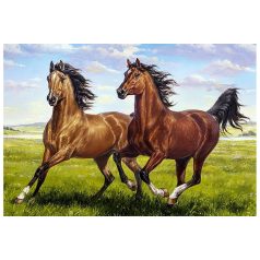 Gyémántfestés szett, barna lovak, 70x48cm