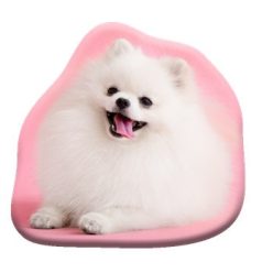 Kutyás Pomeranian formapárna, díszpárna 39x37 cm  Velúr
