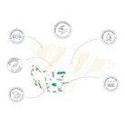 Nid d'ange pelenka Pommette tipusú (2-es) 3- 6 kg (32 db/cs)