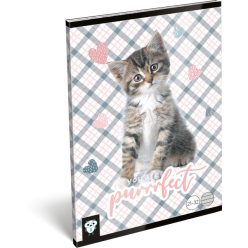   Lizzy Card cicás tűzött füzet A/5, 32 lap vonalas, Purrrfect