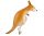 Kenguru Kangaroo sétáló fólia lufi 82 cm