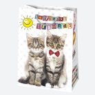 Happy Birthday Friends papír ajándéktasak, ajándékzacskó 23x32x11 cm