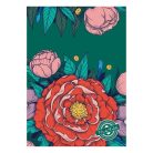 Készlet Clairefontaine Frida Kahlo, 8 db képeslap borítékkal