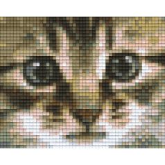 Pixel szett 1 normál alaplappal, színekkel, cica (801179)