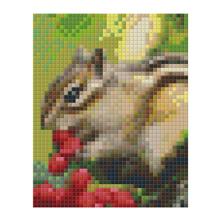 Pixel szett 1 normál alaplappal, színekkel, csíkos mókus (801236)