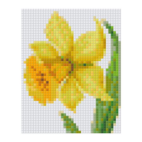 Pixel szett 1 normál alaplappal, színekkel, nárcisz (801281)