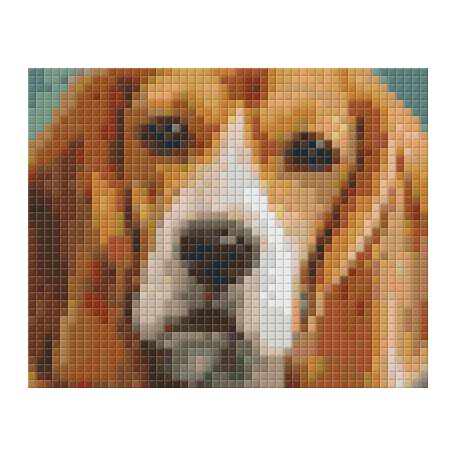 Pixel szett 1 normál alaplappal, színekkel, kutya, basset hound (801301)