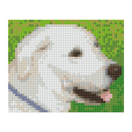 Pixel szett 1 normál alaplappal, színekkel, kutya, labrador (801303)