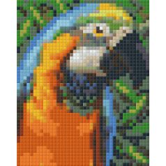   Pixel szett 1 normál alaplappal, színekkel, papagáj (801328)