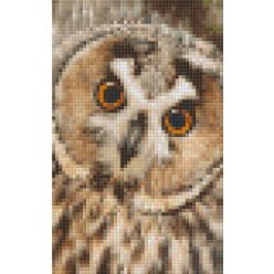   Pixel szett 2 normál alaplappal, színekkel, bagoly (802101)