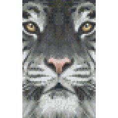   Pixel szett 2 normál alaplappal, színekkel, tigris (802107)