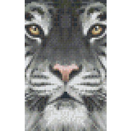 Pixel szett 2 normál alaplappal, színekkel, tigris (802107)