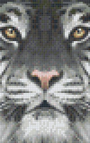 Pixel szett 2 normál alaplappal, színekkel, tigris (802107)