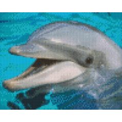   Pixel szett 4 normál alaplappal, színekkel, delfin (804016)