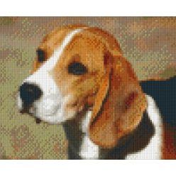   Pixel szett 4 normál alaplappal, színekkel, kutya, beagle (804042)