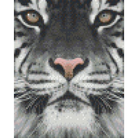 Pixel szett 4 normál alaplappal, színekkel, tigris (804130)