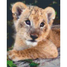   Pixel szett 4 normál alaplappal, színekkel, oroszlánkölyök (804158)