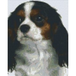   Pixel szett 4 normál alaplappal, színekkel, kutya, beagle (804208)