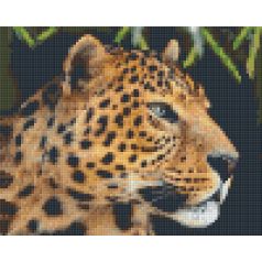   Pixel szett 4 normál alaplappal, színekkel, leopárd (804441)