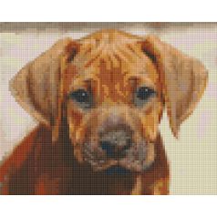   Pixel szett 4 normál alaplappal, színekkel, kutyakölyök (804447)