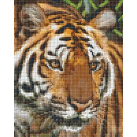 Pixel szett 4 normál alaplappal, színekkel, nőstény tigris (804461)