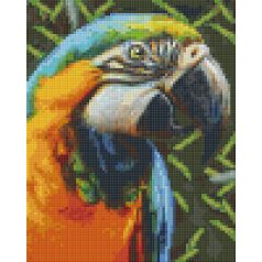   Pixel szett 4 normál alaplappal, színekkel, papagáj (804465)