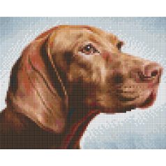   Pixel szett 4 normál alaplappal, színekkel, kutya, vizsla (804466)