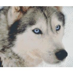   Pixel szett 6 normál alaplappal, színekkel, farkas (806145)