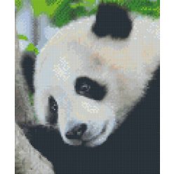 Pixel szett 6 normál alaplappal, színekkel, panda (806150)