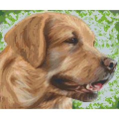   Pixel szett 6 normál alaplappal, színekkel, kutya, retriever (806157)