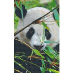 Pixel szett 8 normál alaplappal, színekkel, panda (808080)
