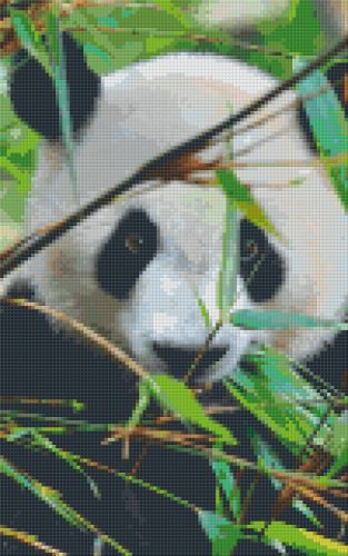 Pixel szett 8 normál alaplappal, színekkel, panda (808080)