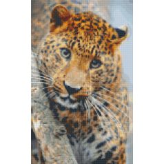   Pixel szett 8 normál alaplappal, színekkel, leopárd (808081)