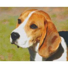   Pixel szett 9 normál alaplappal, színekkel, kutya, beagle (809381)