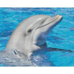   Pixel szett 9 normál alaplappal, színekkel, delfin (809386)