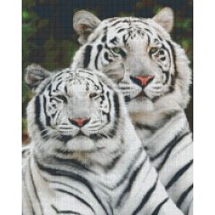   Pixel szett 16 normál alaplappal, színekkel, fehér tigrisek (816111)