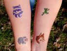 Sablonok, Forest Animals, Erdei állatok sablon szett, min. 20 minta