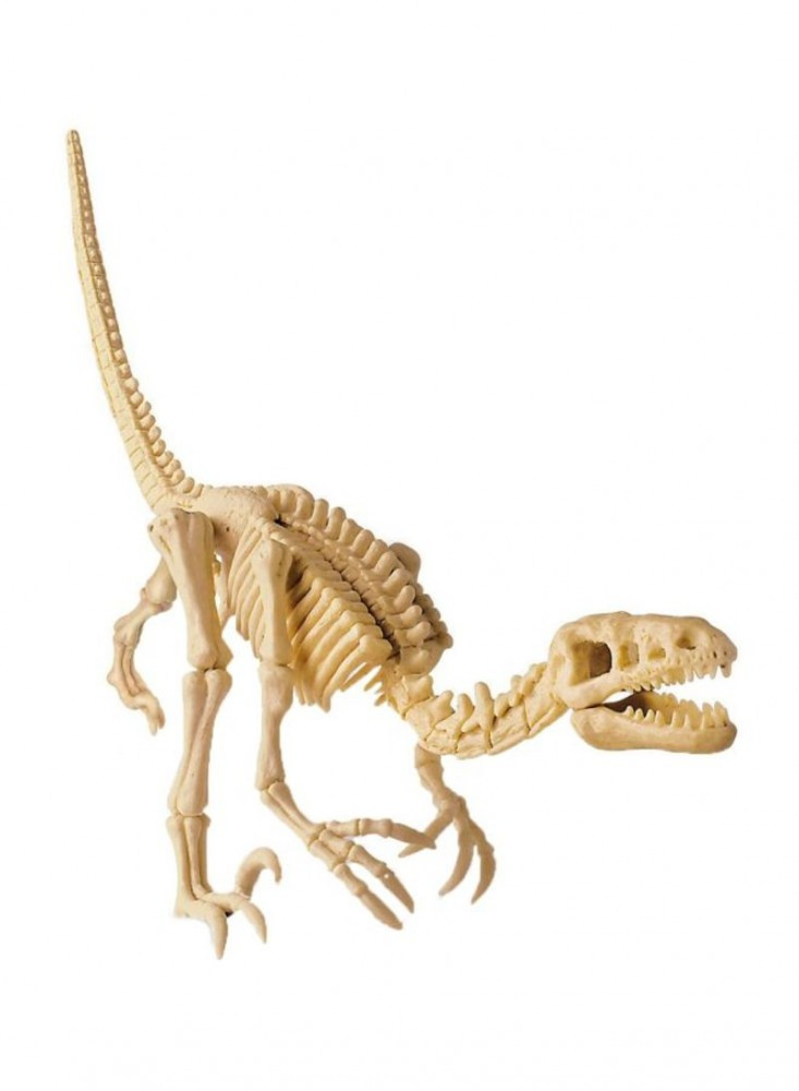 4M dinoszaurusz régész készlet - velociraptor